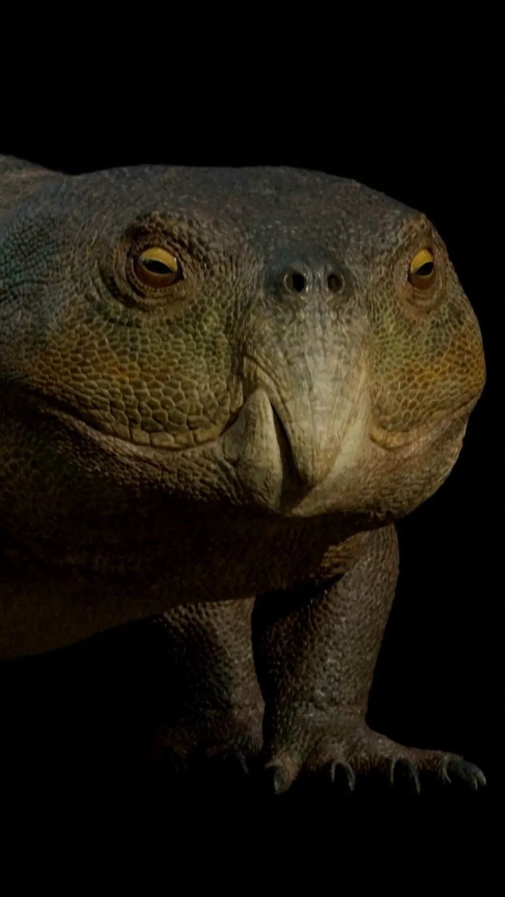 २३ करोड वर्ष पुरानो जीव।