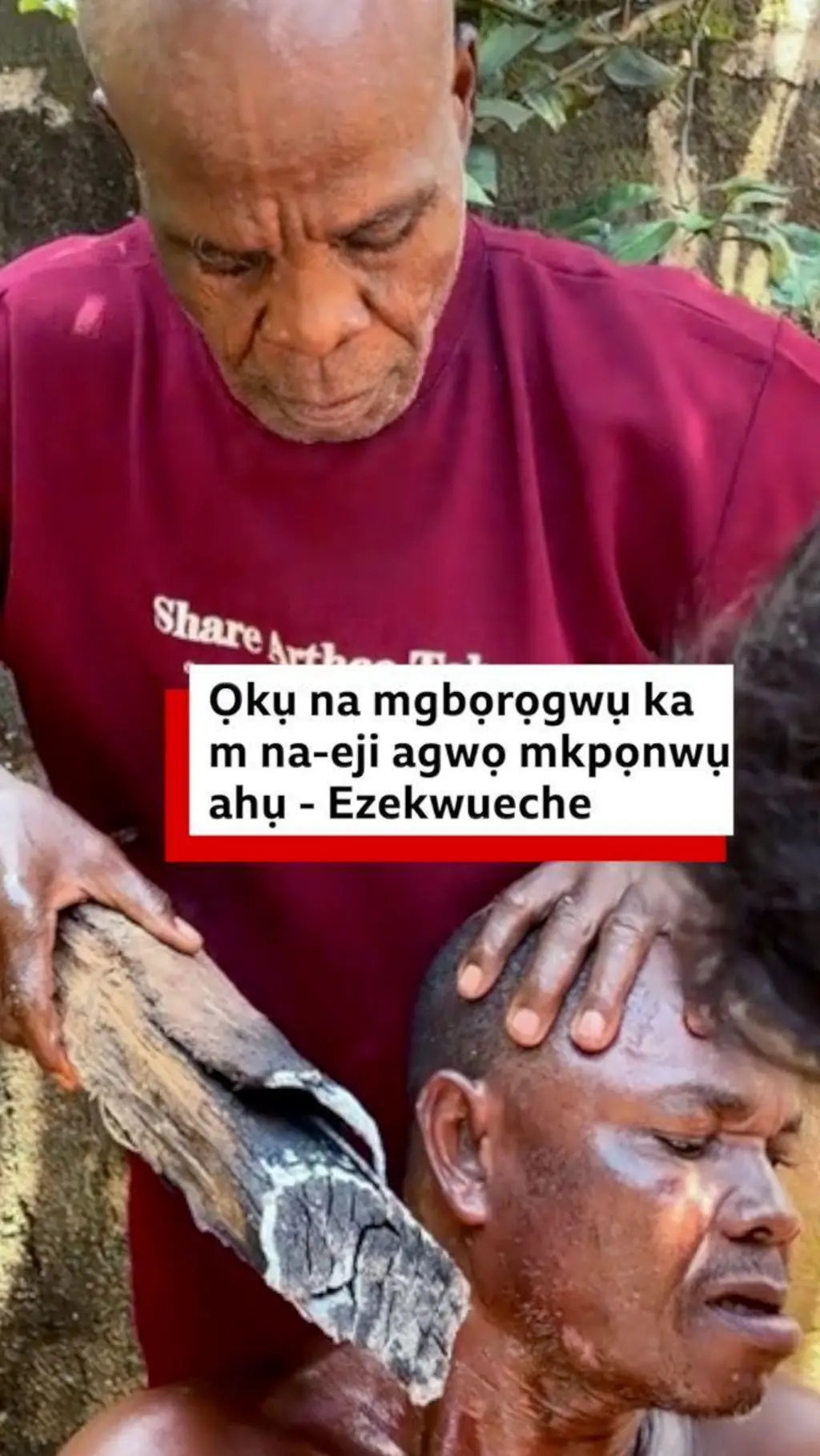 Ana m eji ọkụ na mgbọrọgwụ agwọ mkpọnwụ ahụ - Ezekwueche