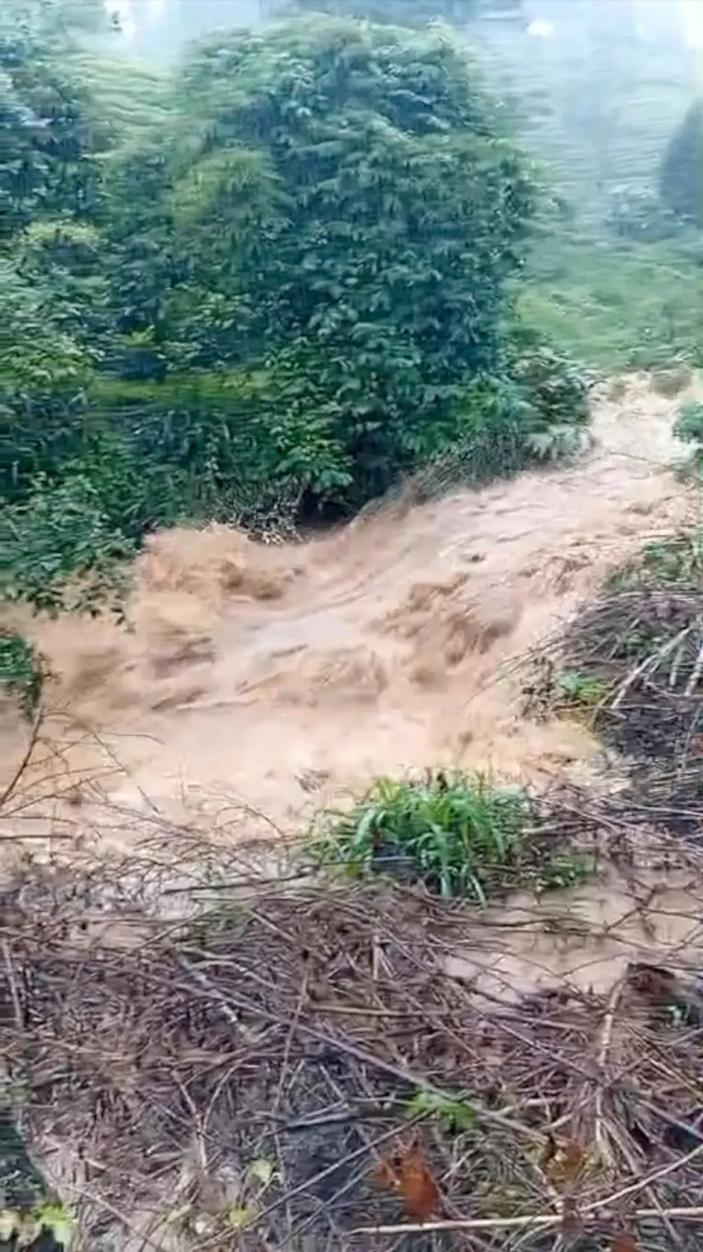 මා කඳුරා ඇළ
