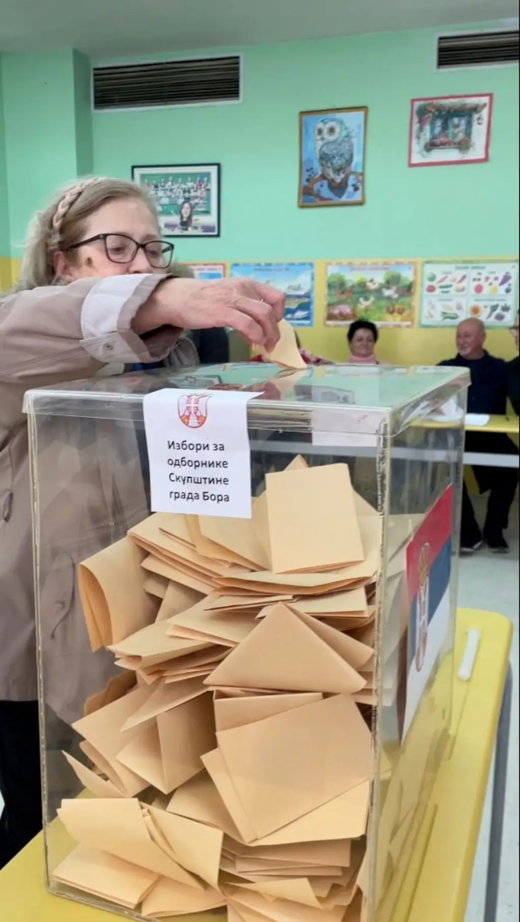 Lokalni izbori u Boru