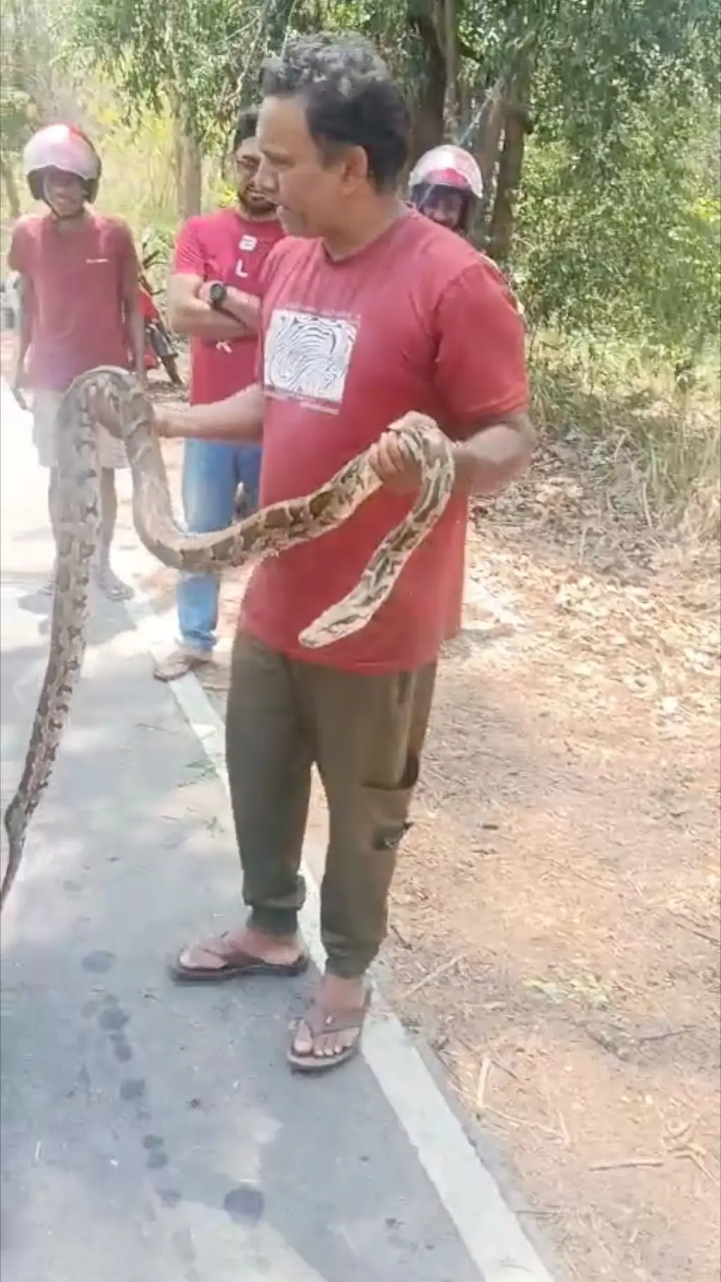 ගින්නකට හසුවූ පිඹුරෙකු බේරාගත් අයුරු