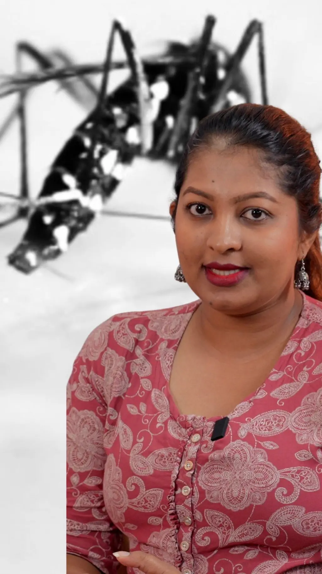 ඩෙංගු අවදානම අවම කරගැනීමට ඔබට කළ හැක්කේ කුමක් ද?