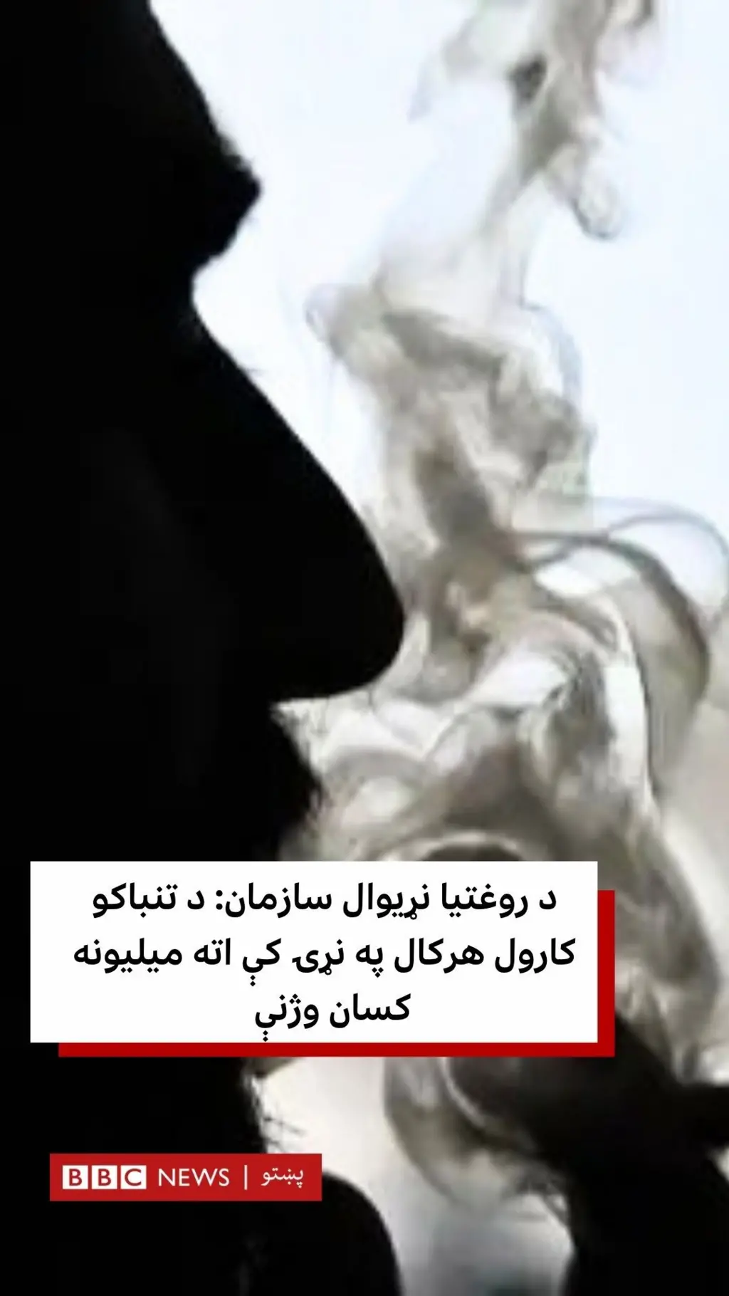 د تنباکونو نه کارولو نړیواله ورځ