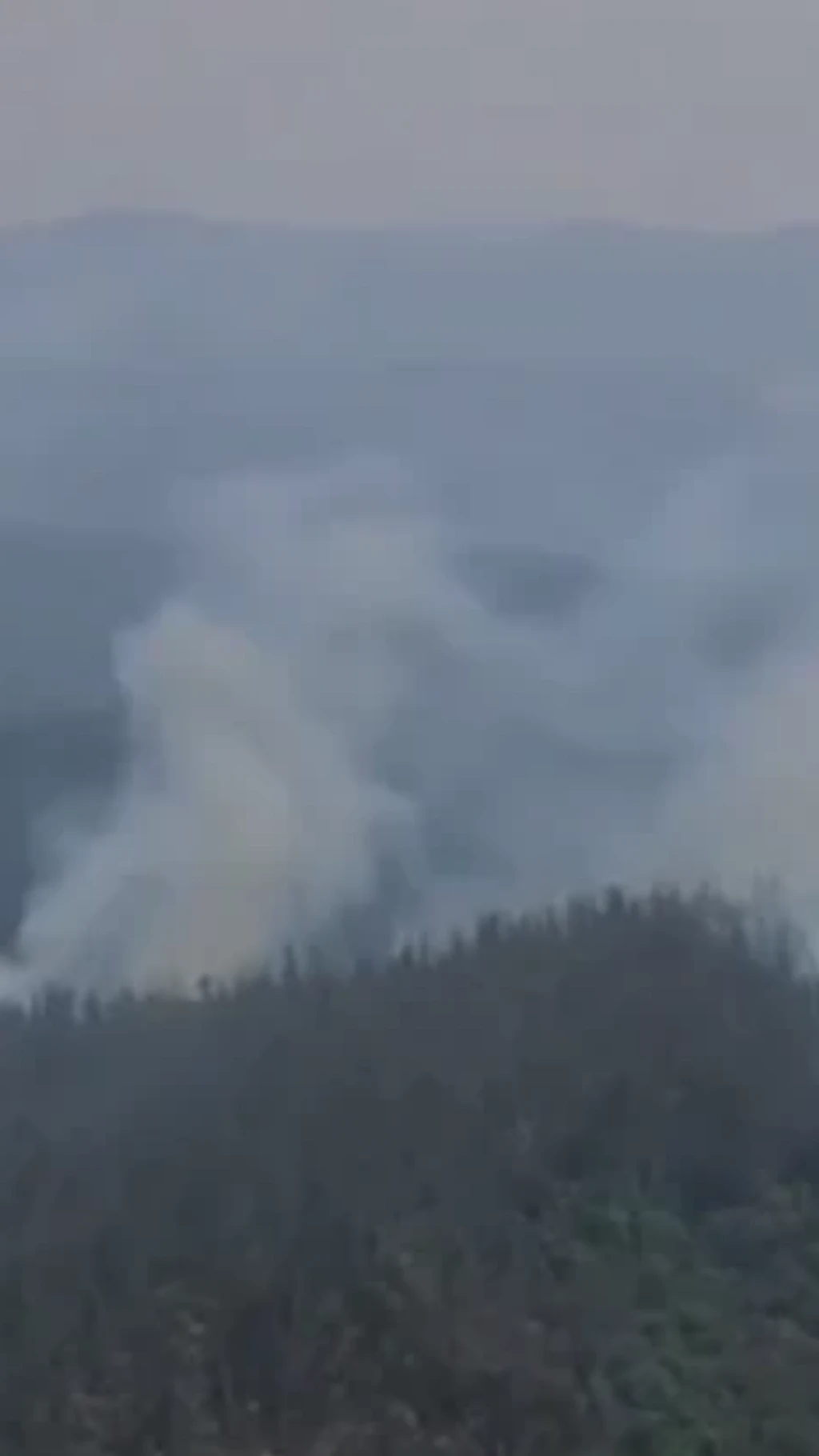 நீலகிரி