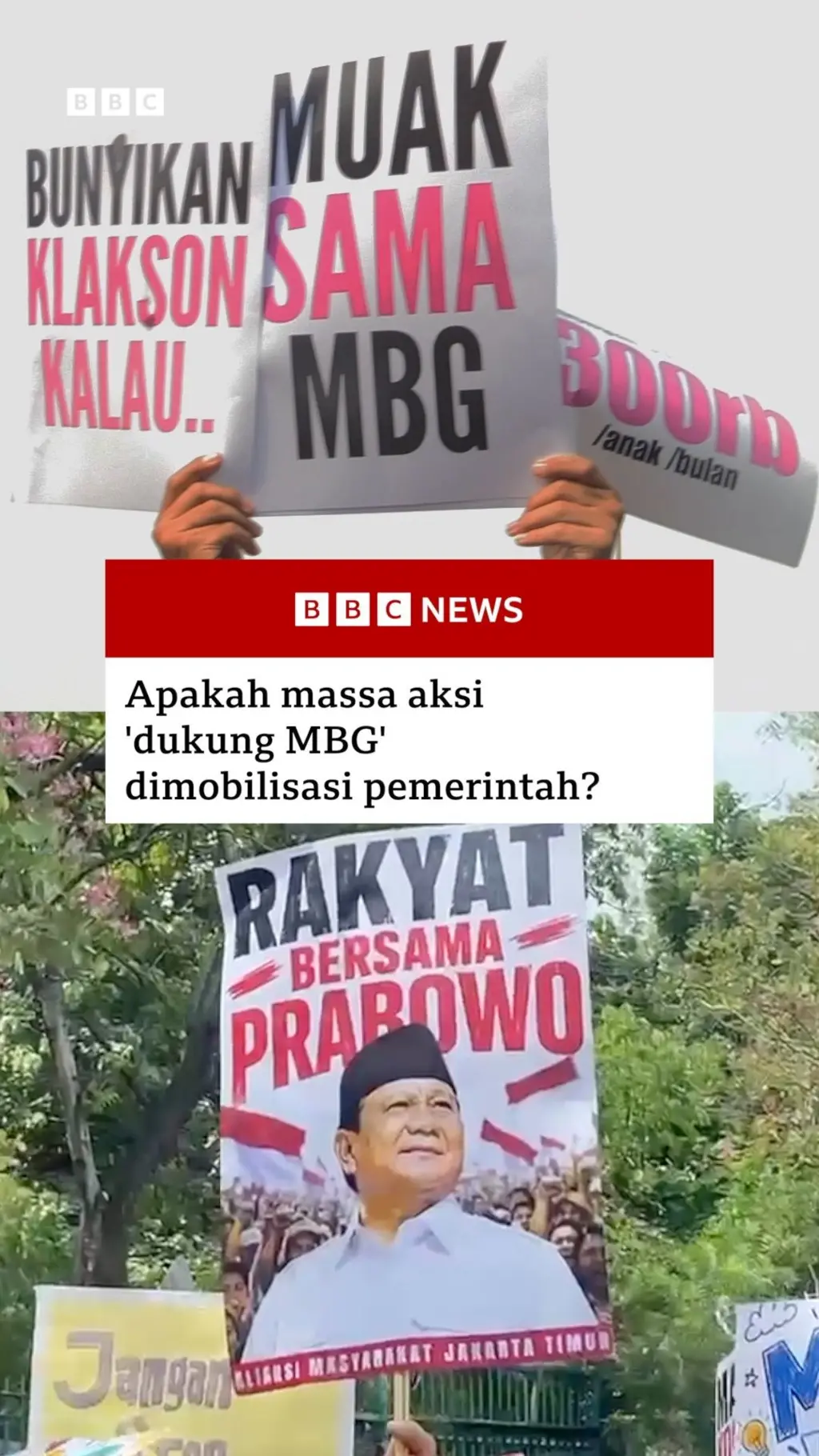 Apakah massa aksi 'dukung MBG' dimobilisasi pemerintah?