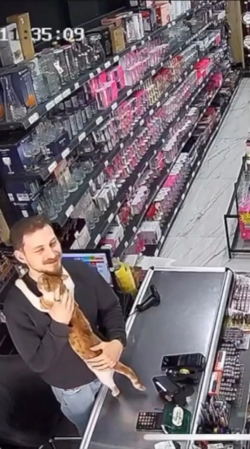 Mačka se grli s prodavcem u radnji
