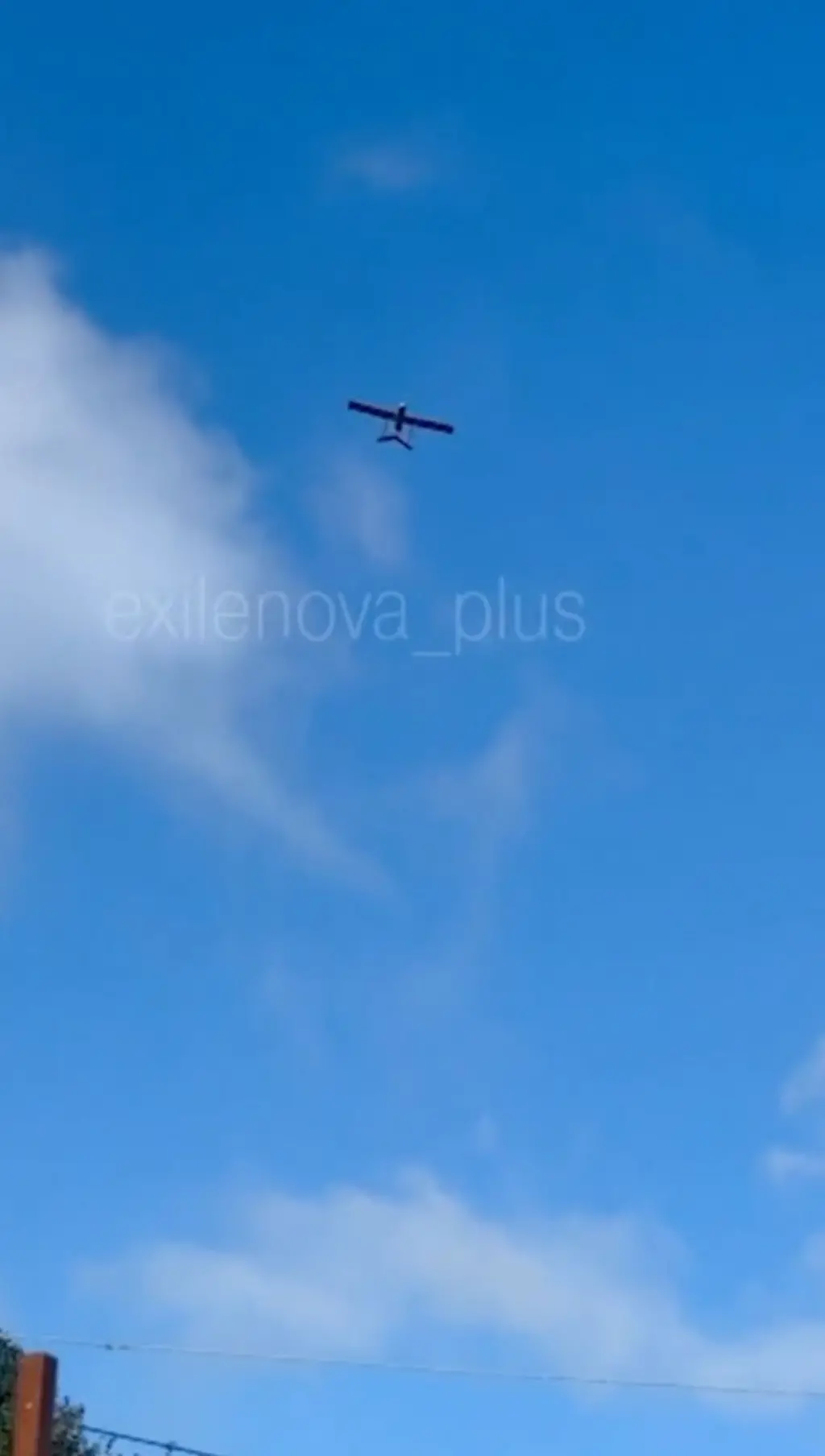 Osmonda dron tasviri