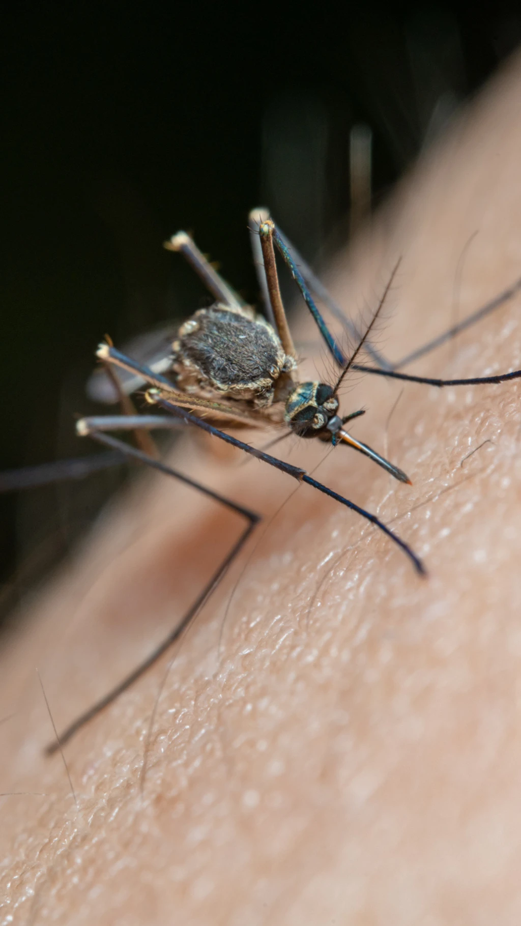 બીબીસી ગુજરાતી