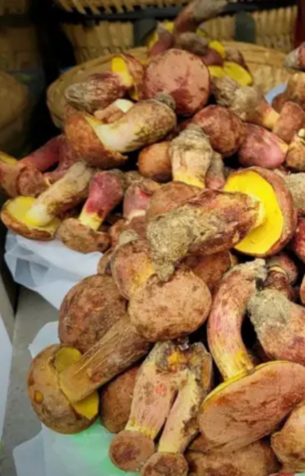 Cogumelos em uma mesa