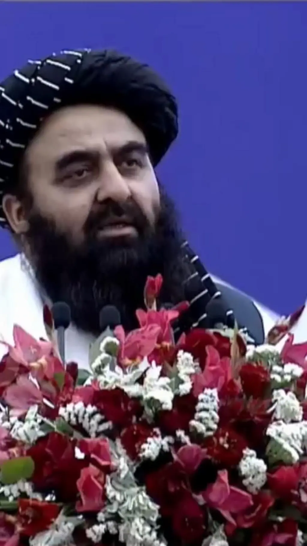 د متقي وینا