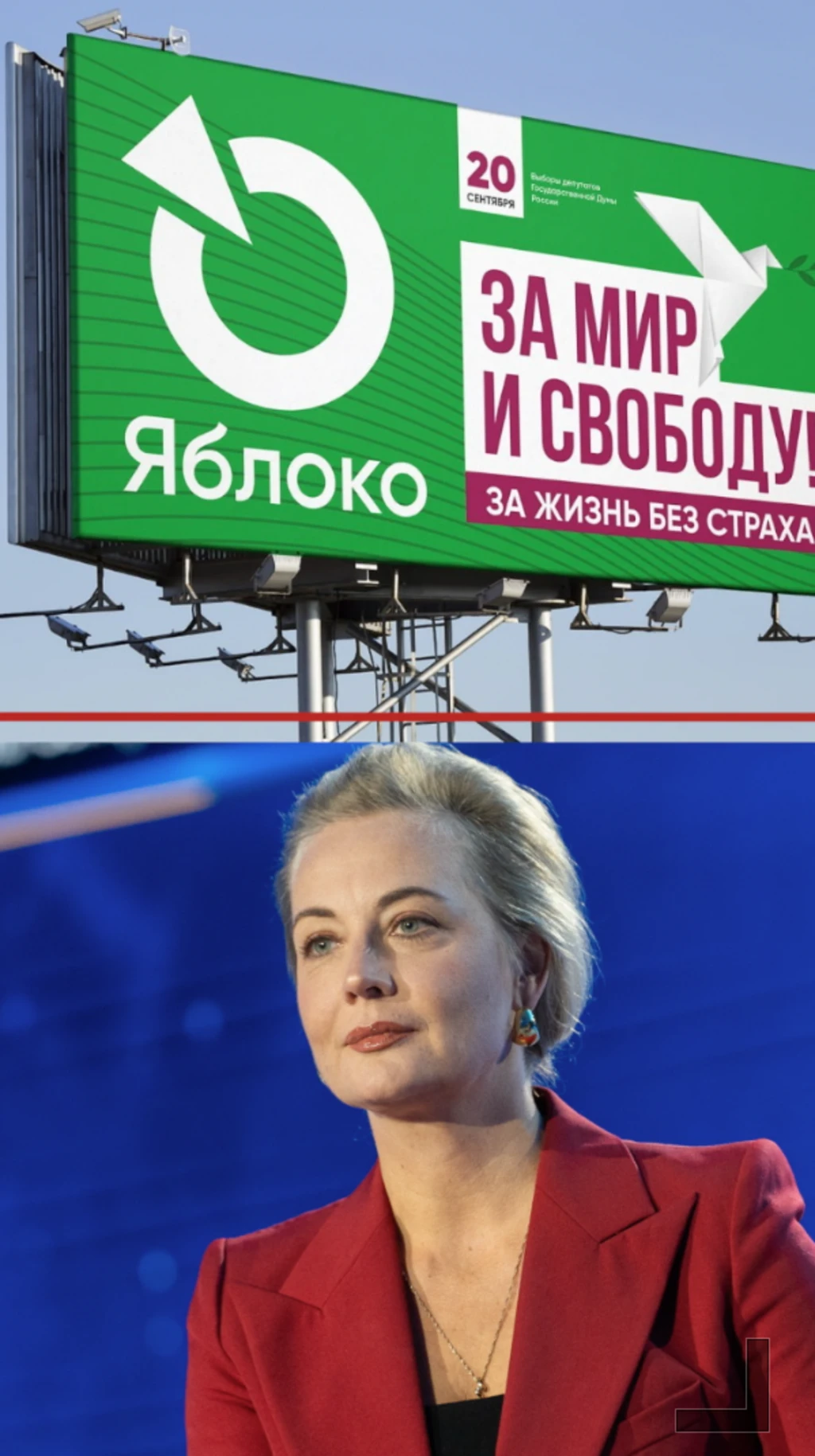 Юлия Навальная, партия Яблоко