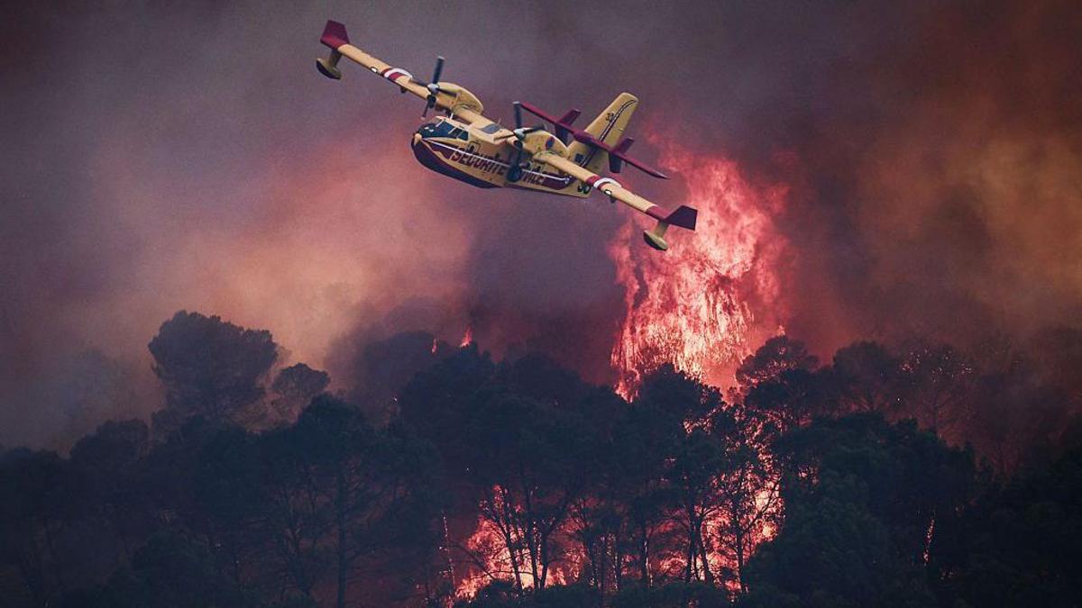VIDEO | "Es una situación dramática": los voraces incendios que obligan a miles a evacuar en el sur de Europa