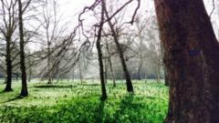 L'environnement ; une source de richesse pour la santé