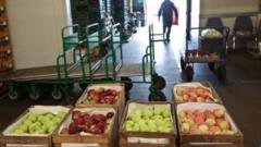 صناديق تفاح في وارسو: تعد روسيا من أهم مستوردي التفاح من بولندا