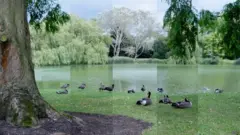 Un Paisaje Tomado Con Tres Ajustes Diferentes