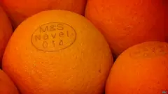 Naranjas marcadas con láser