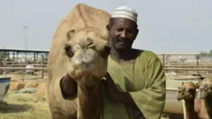 بالرغم من تحذير المنظمات العالمية، لا يزال مربي الجمال عبد السلام يوسف يتناول حليب الإبل الخام كل صباح