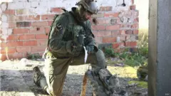 In der Ukraine wurden NATO-Truppen stationiert, um gegen prorussische Separatistengruppen vorzugehen.