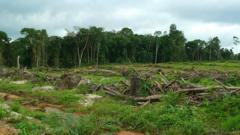 En 2012, la Présidente Ellen Johnson Sirleaf avait suscité de nombreuses critiques au niveau international en autorisant des entreprises à réduire de 58 % la forêt tropicale du pays. Après nombre de protestations, ces permis ont été retirés.