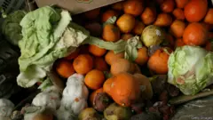 Cirka 40 % av maten i USA går till spillo och endast 5 % komposteras.