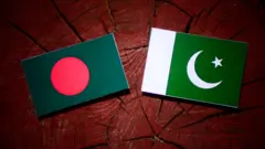 বাংলাদেশ ও পাকিস্তানের পতাকা