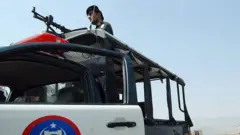 ارشیف تصویر