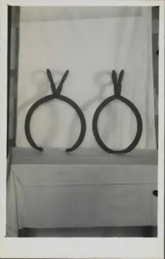 Imagem de um instrumento usado para colocar no pescoço