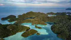 印度尼西亞的拉賈安帕特群島被稱為「海上亞馬遜」。