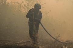 Bagaimana warisan pembangunan era Orde Baru memicu kebakaran hutan dan lahan di Kalimantan?