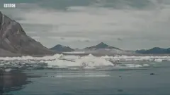 Kuzey Kutbu