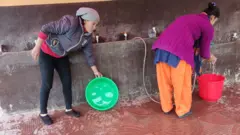 घरेलु काम