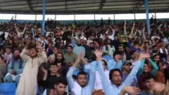 کرېکټ