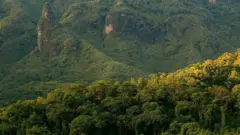 Paarkii Gaarreen Baalee keessa bineensa uumamaa bal'aa qabu irra deddeebii balaan ibiddaa isa qunnamaa ture