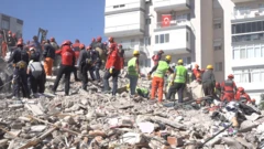 somalı madenciler