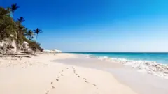 The famous pink sands of Elbow Beach