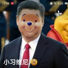 Captura de tela da foto de perfil de uma conta online, mostrando o rosto do personagem de desenho animado Ursinho Pooh sobreposto a uma foto do líder chinês, Xi Jinping