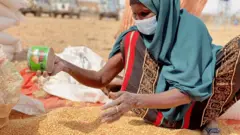 इथियोपियामा अन्न सङ्कलन गर्दै एक महिला