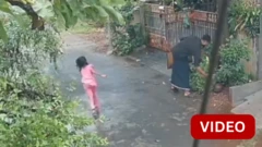 காணொளி: தெருவில் விளையாடிய சிறுமியை கடித்த வளர்ப்பு நாய்