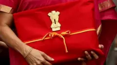 ਨਿਰਮਲਾ ਸੀਤਾਰਮਨ, ਬਹੀਖਾਤਾ