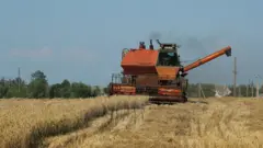 Rusya’nın tahıl anlaşmasından çekilmesinin ardından yükselen fiyatlar tehlike arz ediyor