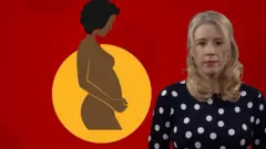 هل يجب أن تحصل المرأة الحامل على اللقاح؟