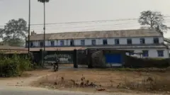 गिरीबन्धु टी इस्टेट
