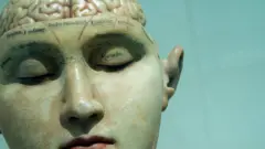 Мозок
