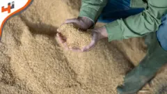 إيكوفيد: تقنية لإنتاج علف طبيعي من مخلفات زراعية