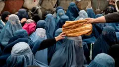 तालिबान 