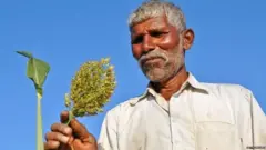 किसान