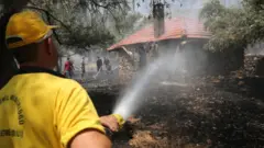 Türkiyədə meşə yanğınları