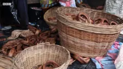 soko la nyama ya nyoka Nigeria