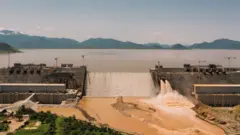 Ijaarsi hidha guddicha abbayaa hark 80 ol xumurameera