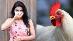 बर्ड फ्लूमुळे लाखो पक्ष्यांचा बळी; 48% मृत्यूदरासह माणसालाही धोका, भारतीय संशोधकांचं मॉडेल काय सांगतं? वाचा